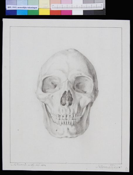 M Houtman, Skull of a man from Normandy