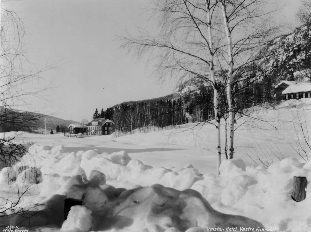 Anders Beer Wilse, Veisten Hotell Vinter Sno