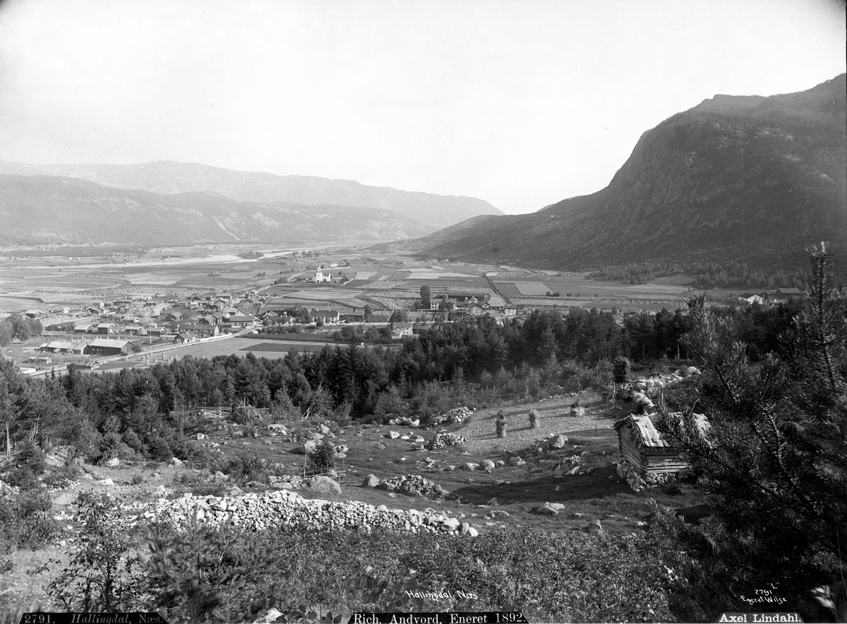 Axel Lindahl, "Prot: Hallingdal Næs