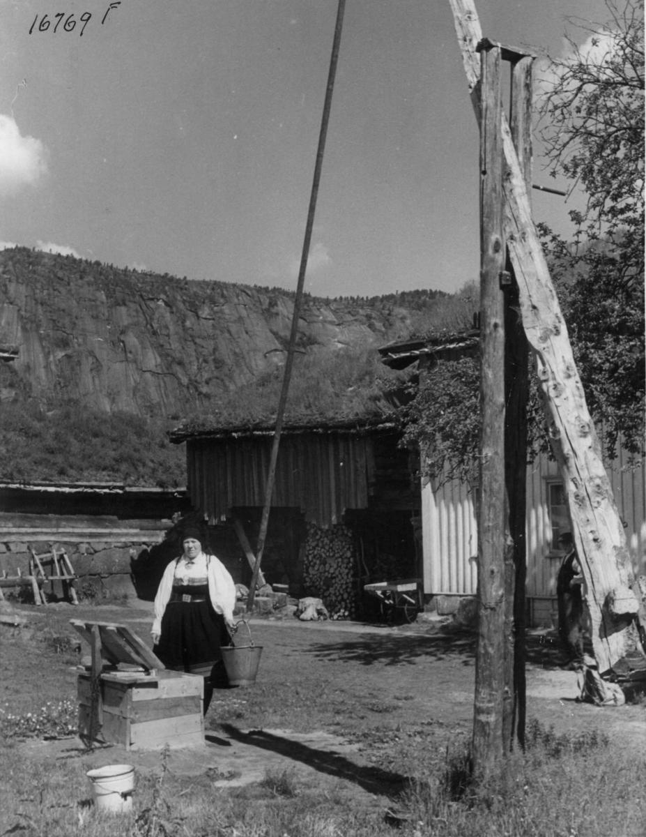 Anders Beer Wilse, Vannbæring, Bronn