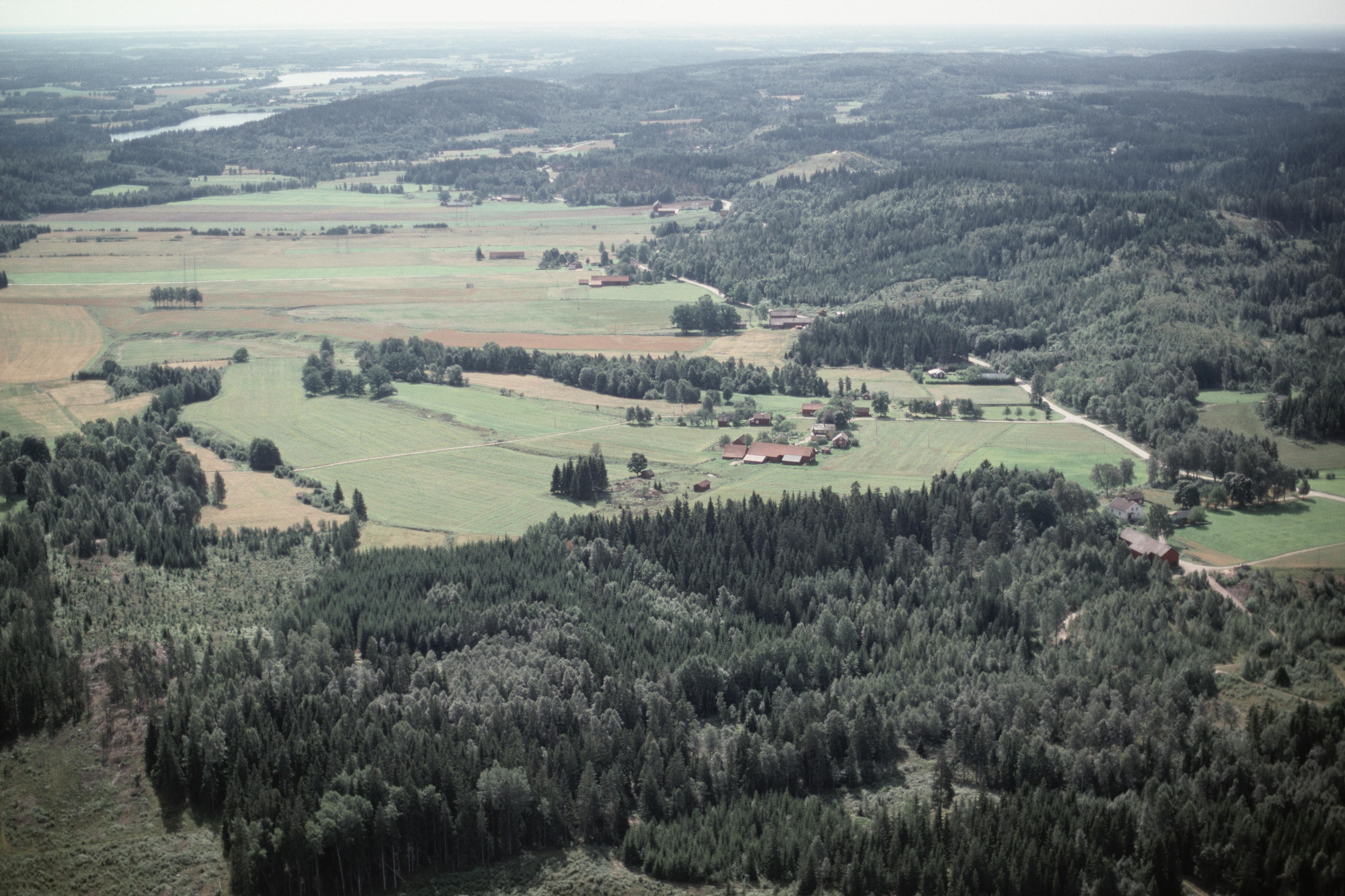 Jan Norrman, Dalskog 48:1
