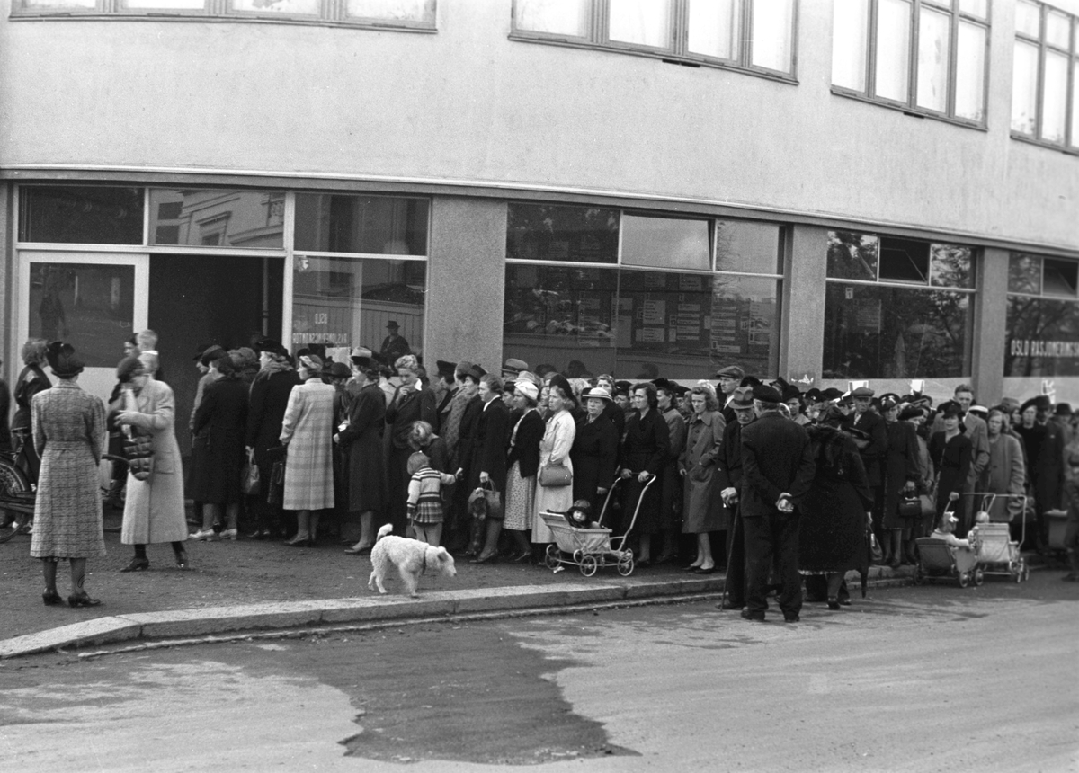 Anders Beer Wilse, Prot: Rasjoneringskort kö