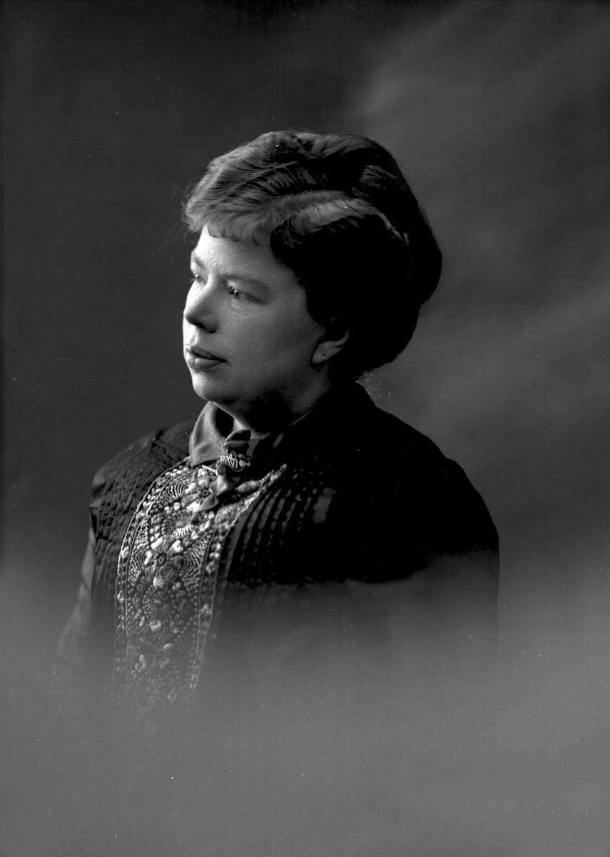 Gustav Borgen, NFB.09874