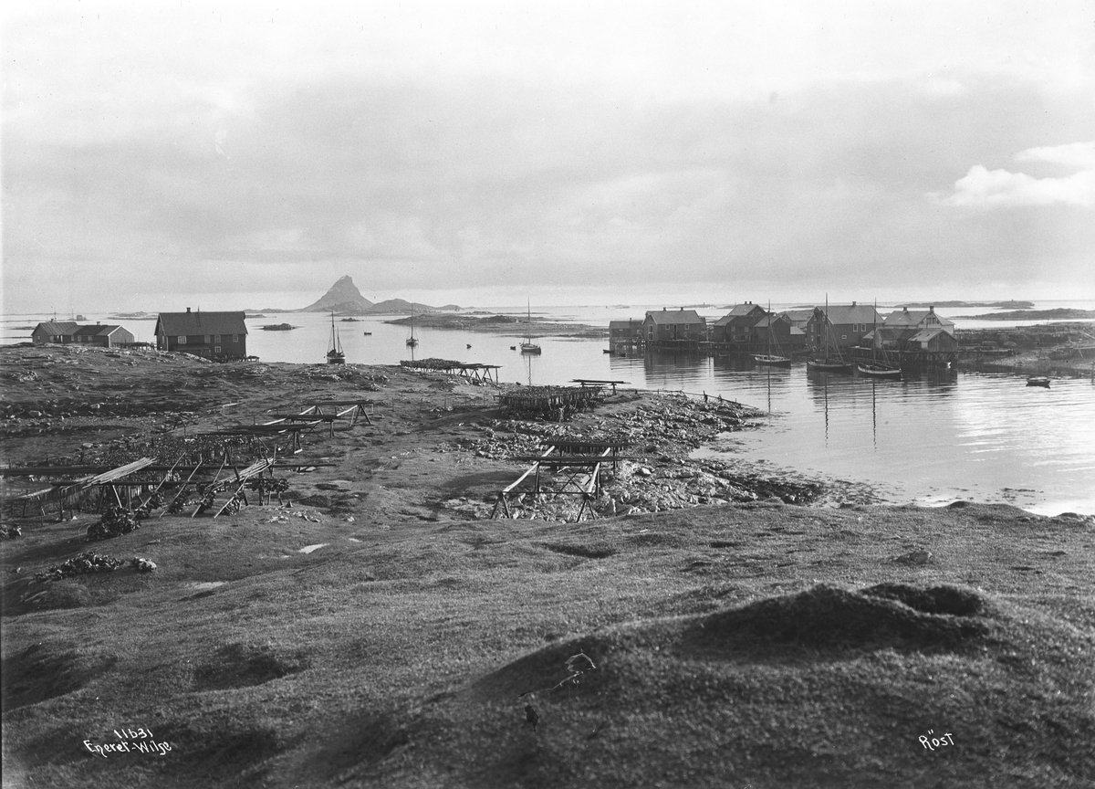 Anders Beer Wilse, Prot: Røst