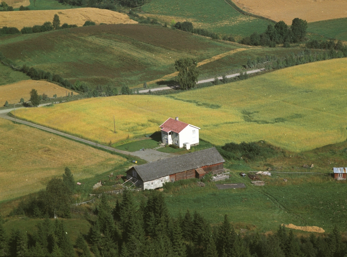 Widerøes Flyveselskap A/S, Flyfoto, Lillehagen, Gaupen, Ringsaker.