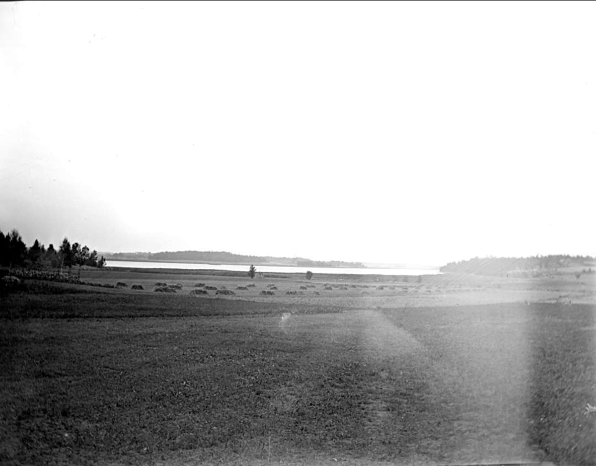 August Fredrik Schagerström, Odlingslandskap nära Sigtuna, Uppland augusti 1914