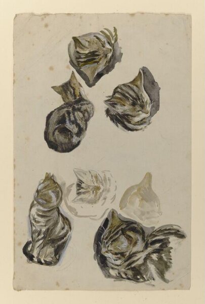 Potter, Beatrix, Drawing