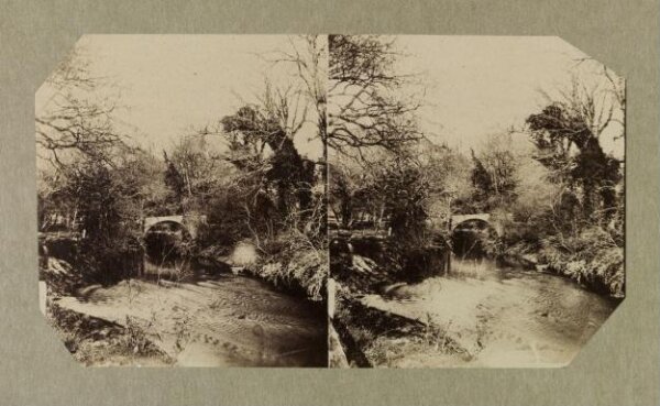 Clementina, Lady Hawarden, Photograph