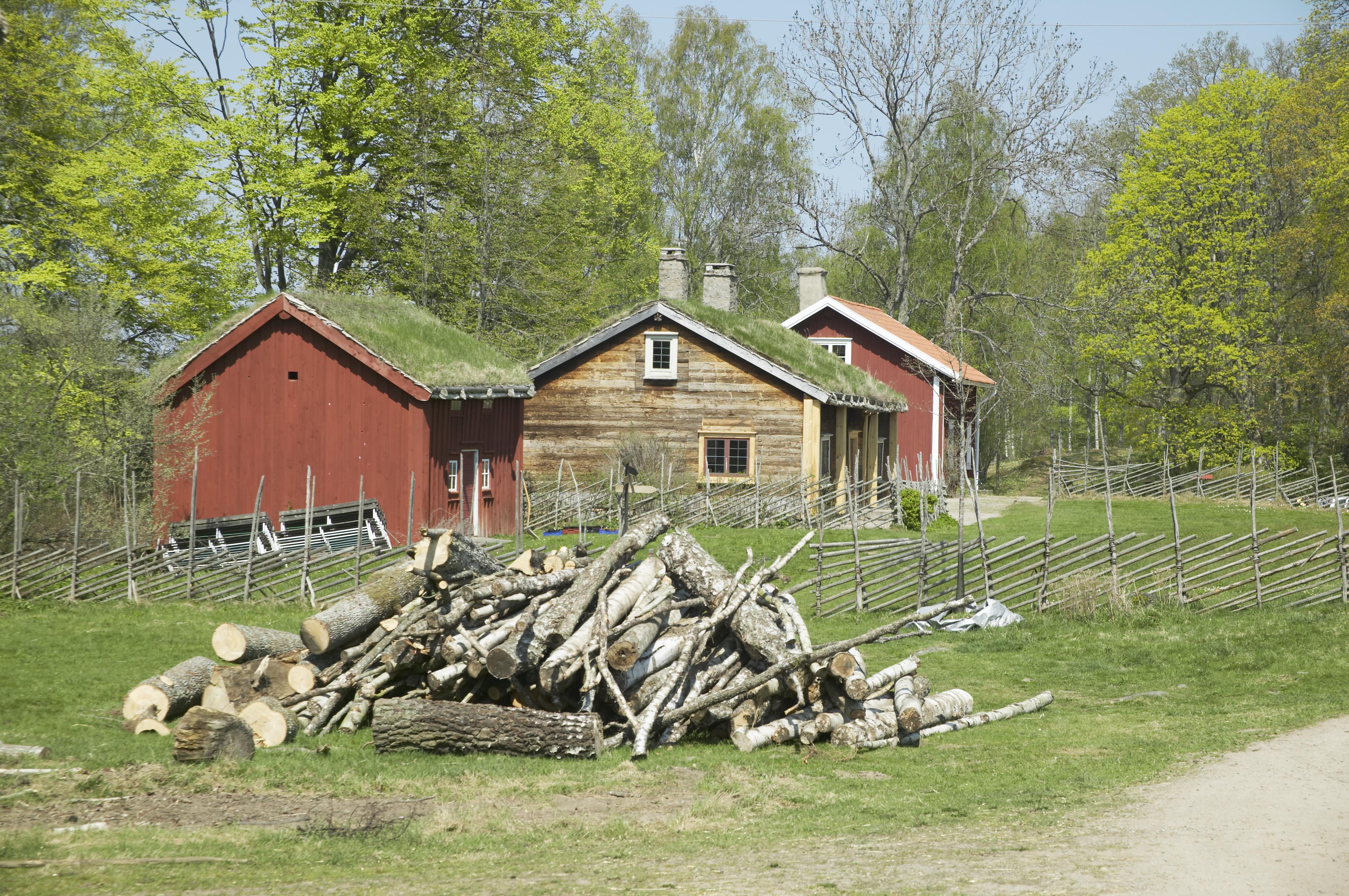 Bengt A Lundberg, Råshult