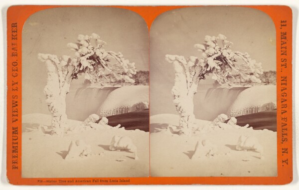 George Barker, Statue Tree and American Fall from Luna Island