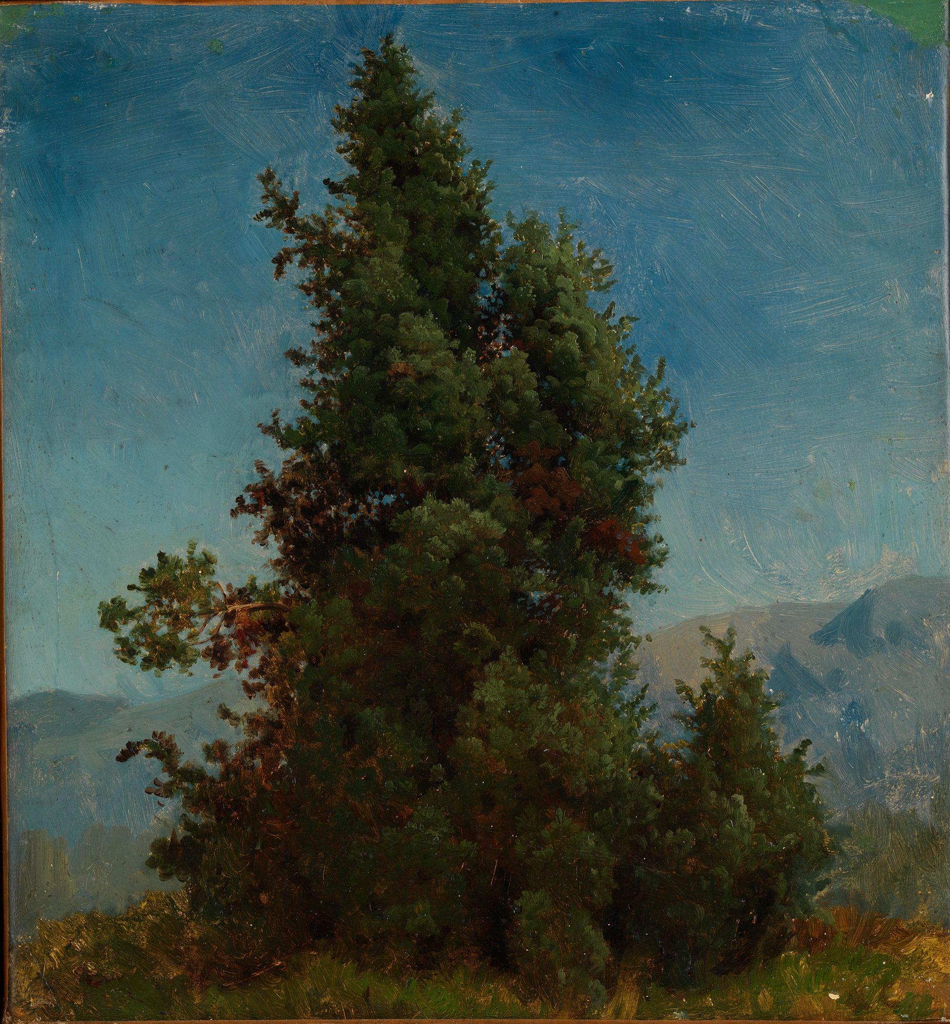 August Cappelen, Study of Trees