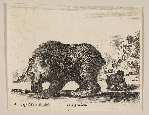 Stefano della Bella, Plate 4: Bear, from "Various animals" (Diversi animali)