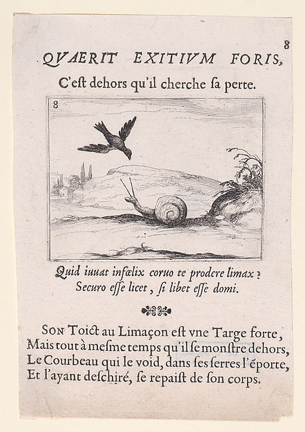 Jacques Callot, Le Corbeau et Le Limaçon (The Raven and the Snail), plate 8 from "Lux Claustri ou La Lumière du Cloitre" (The Light of the Cloisters)