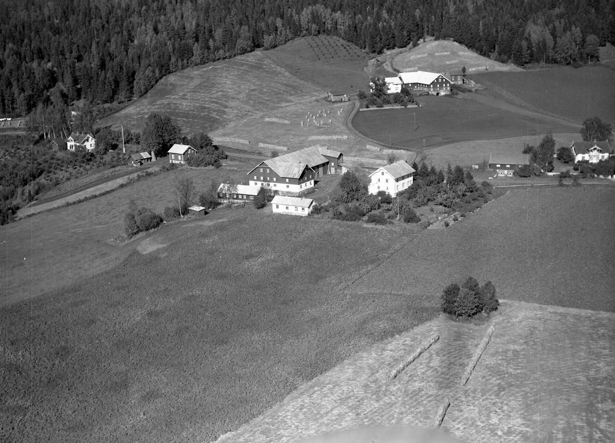 Anno Domkirkeodden, Flyfoto, gardsbruk, Presterud, Nes, Hedmark.