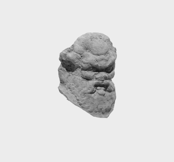 Unknown, Head of Silen or Papposilenos(?)