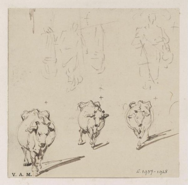 George Chinnery, Three drawings of a cow