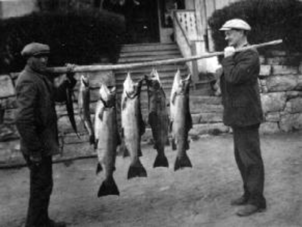 Anno Domkirkeodden, To menn med fiskefangst på stokk foran føderådsbygningen på Vinju, Ringsaker. Seks store ørret. Gardbruker Johannes Winju f. 1874 til høyre. Den andre mannen er ukjent.