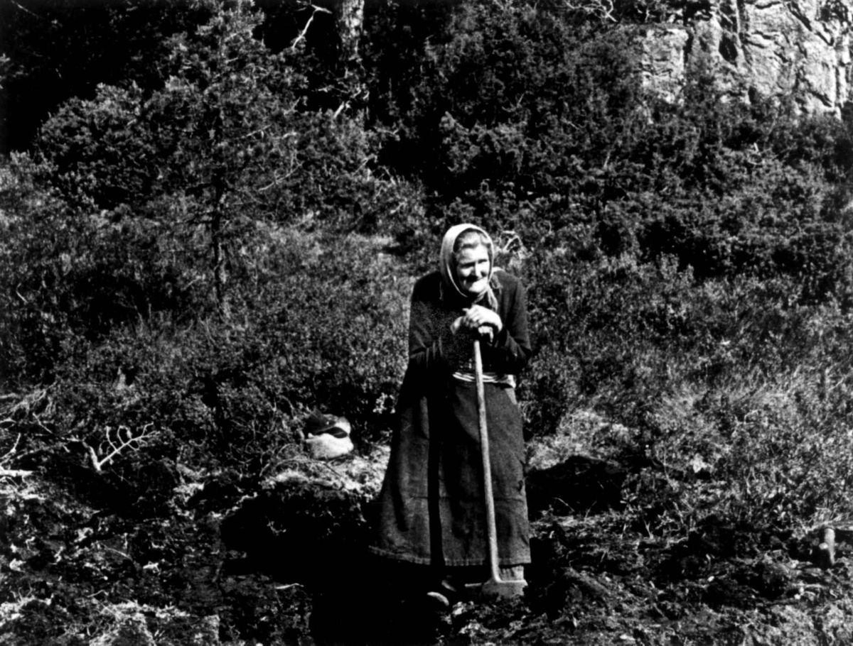 Anna Grostøl, Ingeborg A. Lindland, født 1877, står ute. Fjotland, Kvinesdal, Vest-Agder 1941.
