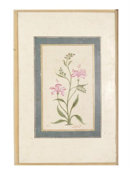 Unknown, Painting