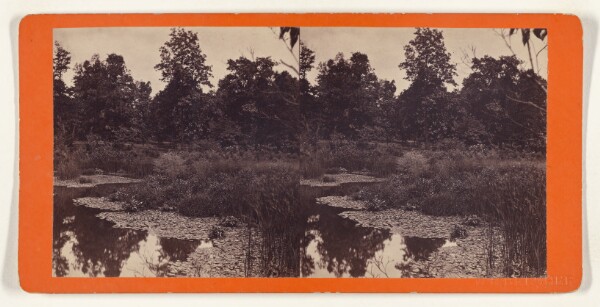 Edward and Henry T. Anthony & Co., Prospect Park, Brooklyn. The Lilly [sic] Pond.
