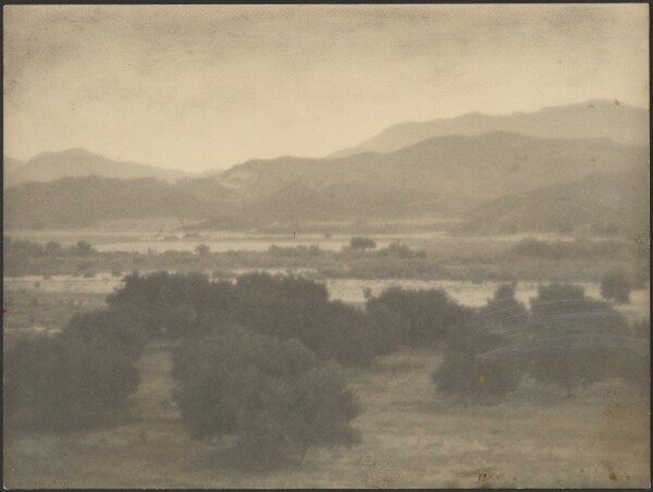 Louis Fleckenstein, [Landscape with Low Trees]