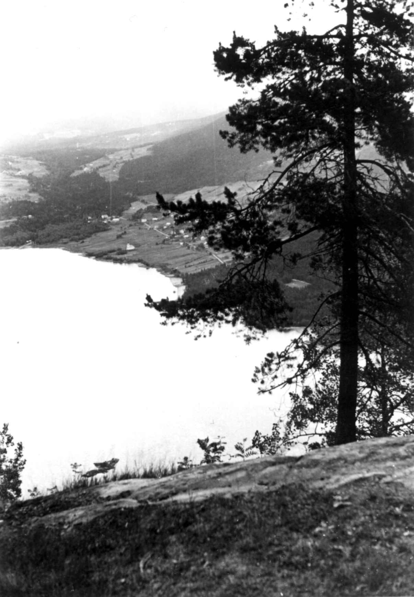 Anna Grostøl, Frøysnes, Bygland, Setesdal, Aust-Agder 1941. Utsikt fra Frøysnes over vannet og bebyggelse.