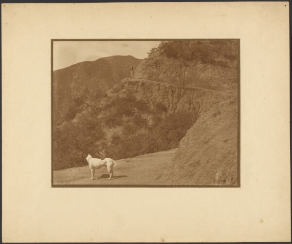 Louis Fleckenstein, [Dog and Woman in Mountainous Landscape]