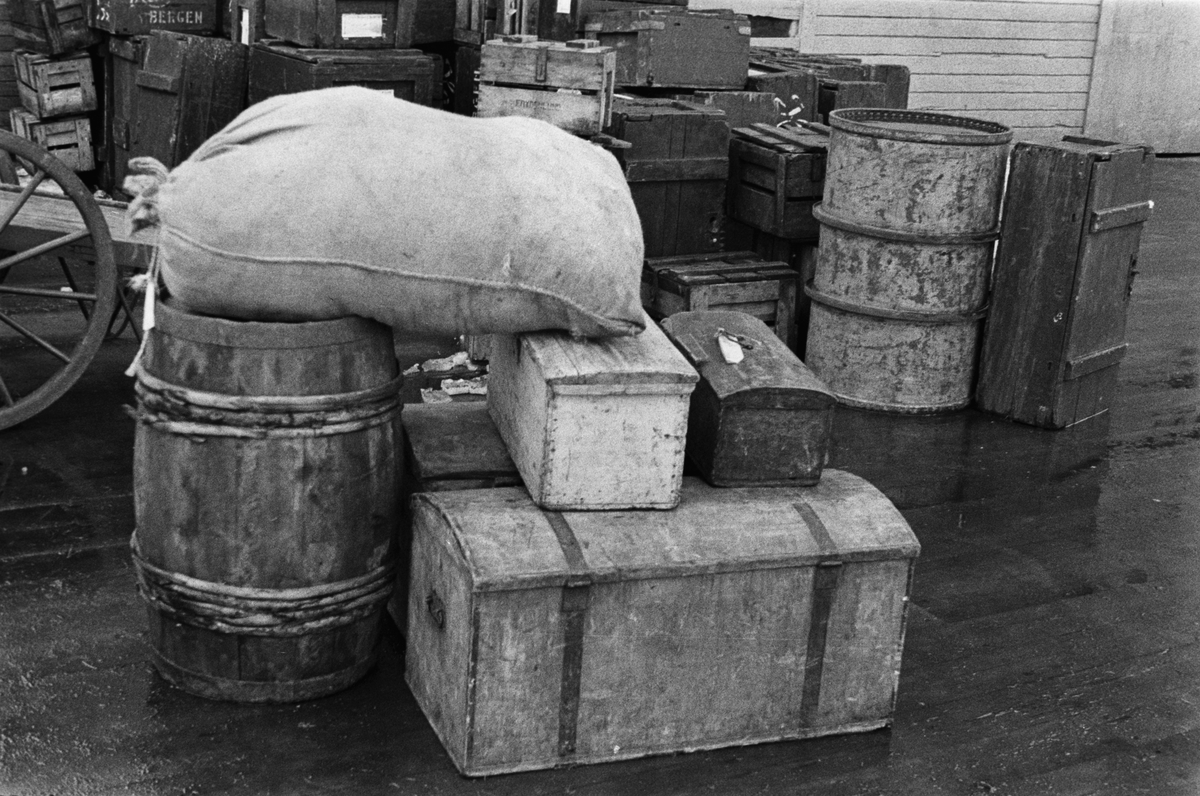 Anders Beer Wilse, Prot: Fiskerens baggage