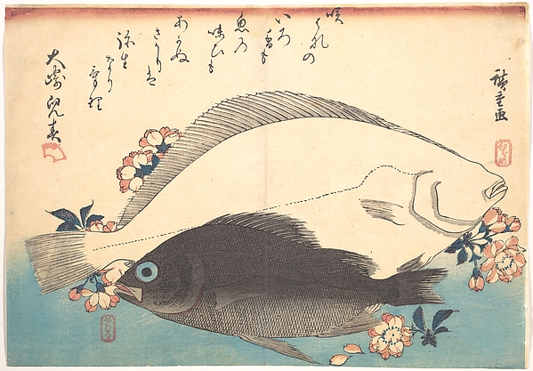 Utagawa Hiroshige, Hirame and Mebaru Fish with Cherry Blossoms, from the series Uozukushi (Every Variety of Fish)