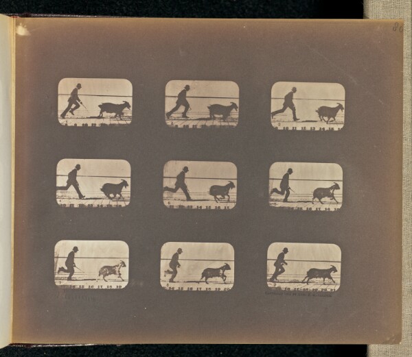 Eadweard J. Muybridge, The Attitudes of Animals in Motion