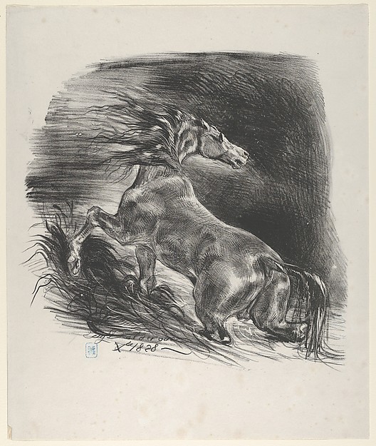 Eugène Delacroix, Wild Horse