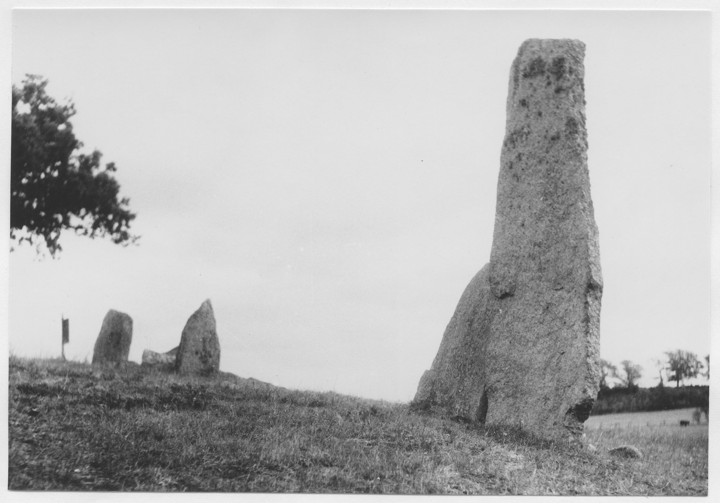 Mårten Sjöbeck, Näsum 5:1
