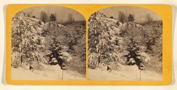 Benjamin West Kilburn, [Snow scene in woods]