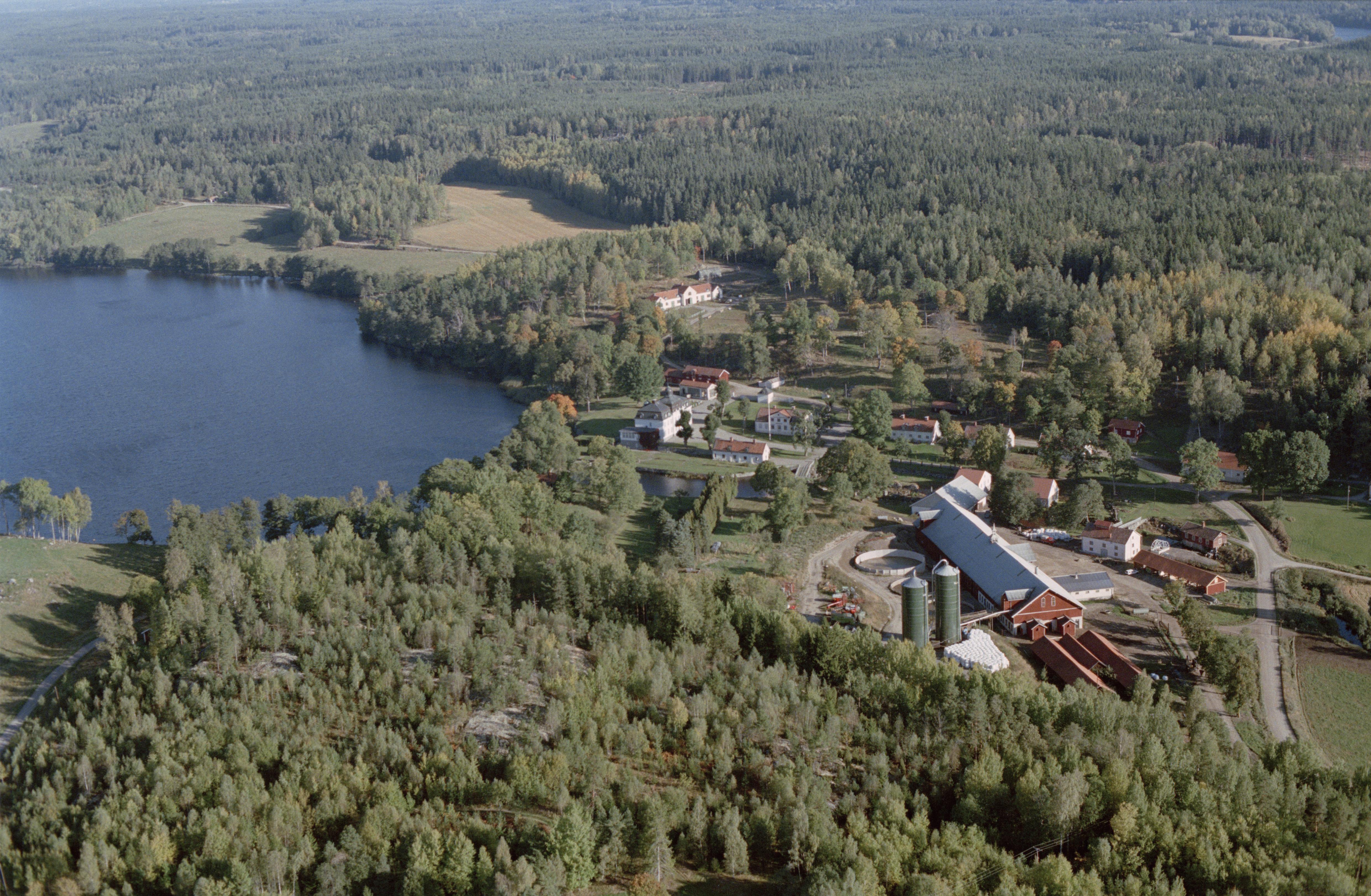 Jan Norrman, Gåsinge-Dillnäs 379:1