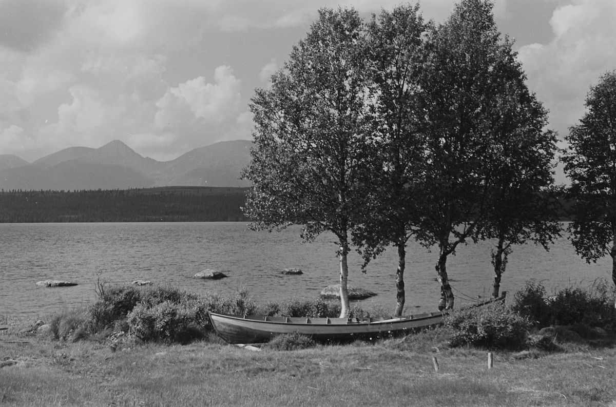 Anders Beer Wilse, Prot: Galtensjöen