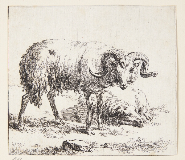 Nicolaes Berchem, Stående vædder og et liggende får
