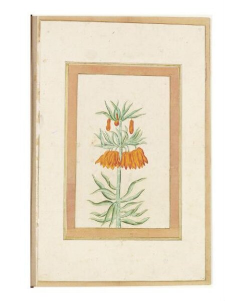 Unknown, Painting
