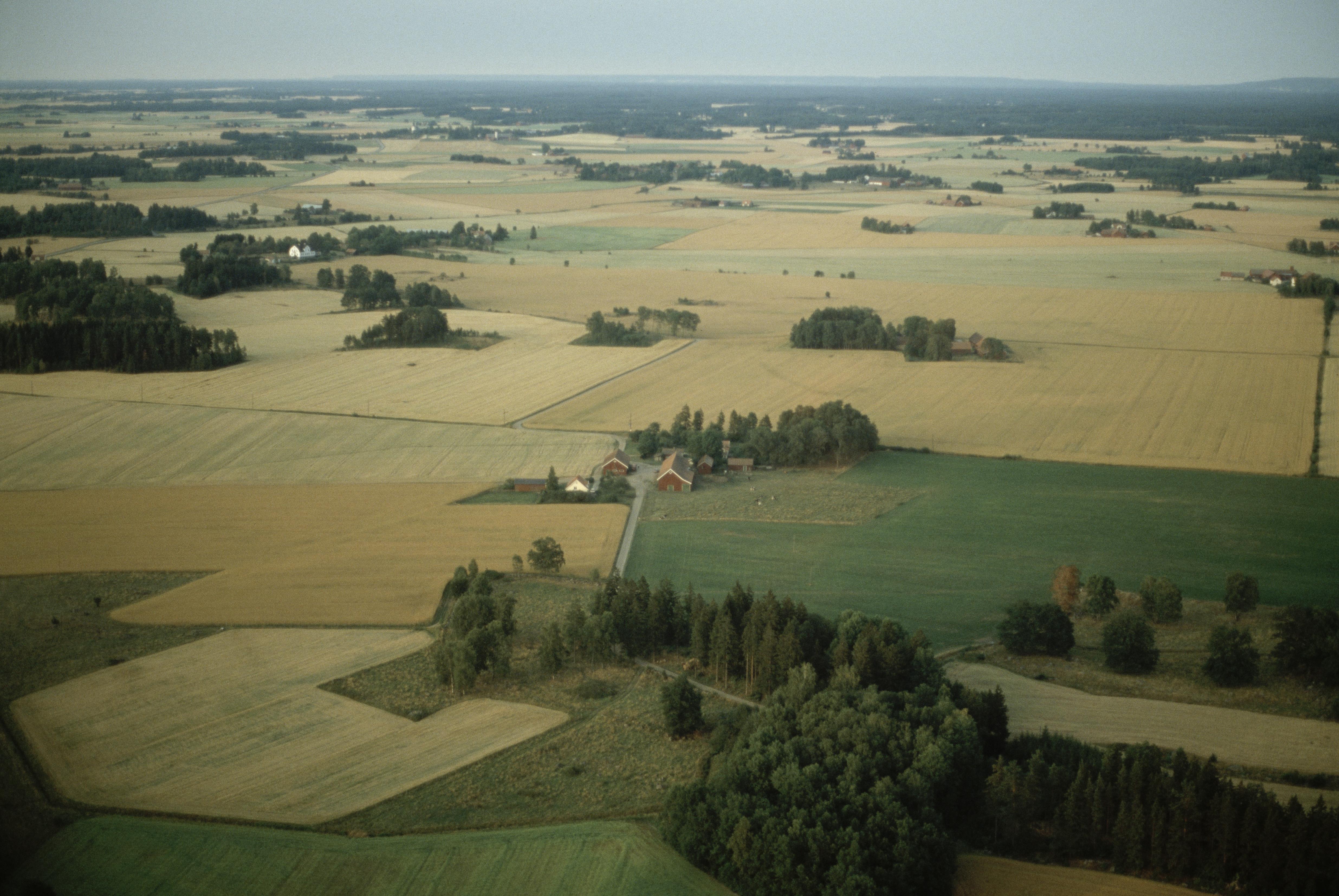 Jan Norrman, Faleberg