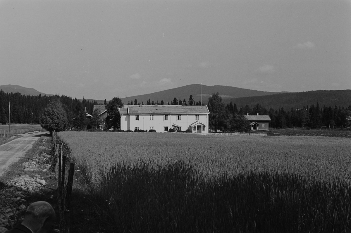 Anders Beer Wilse, Prot: Svend. Morens gård