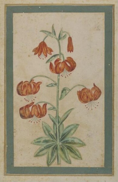 Unknown, Painting