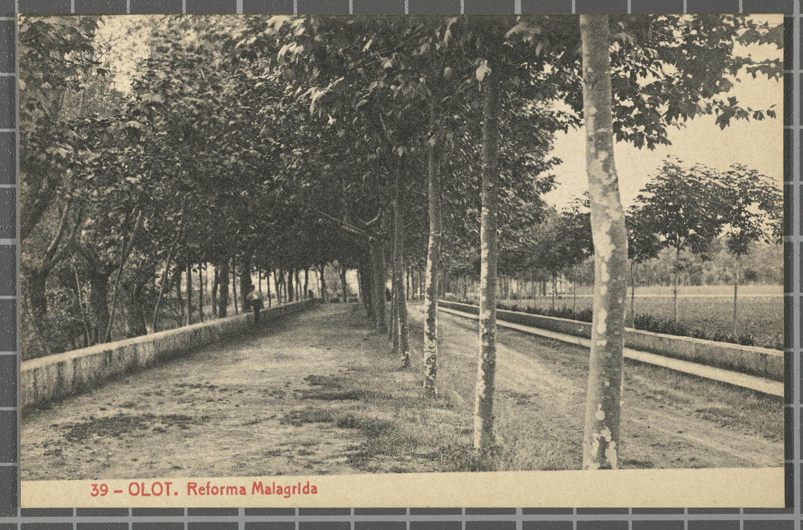 Desconegut, 39 - Olot. Reforma Malagrida