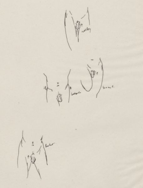 J Tinkelenberg, Physique of sporting figures