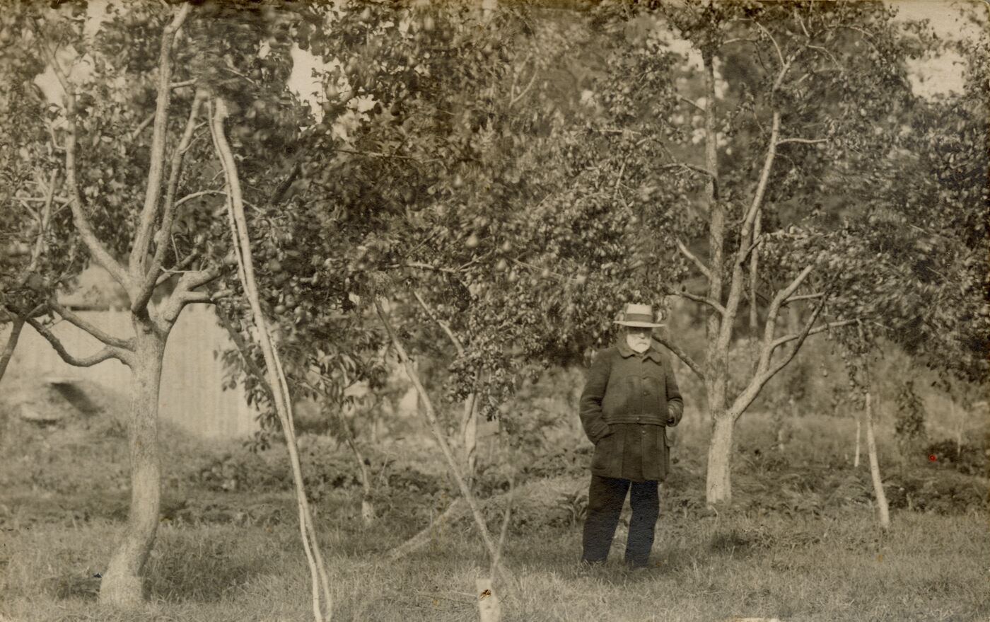 Nežinomas fotografas, Leonardas Ivanauskas sode