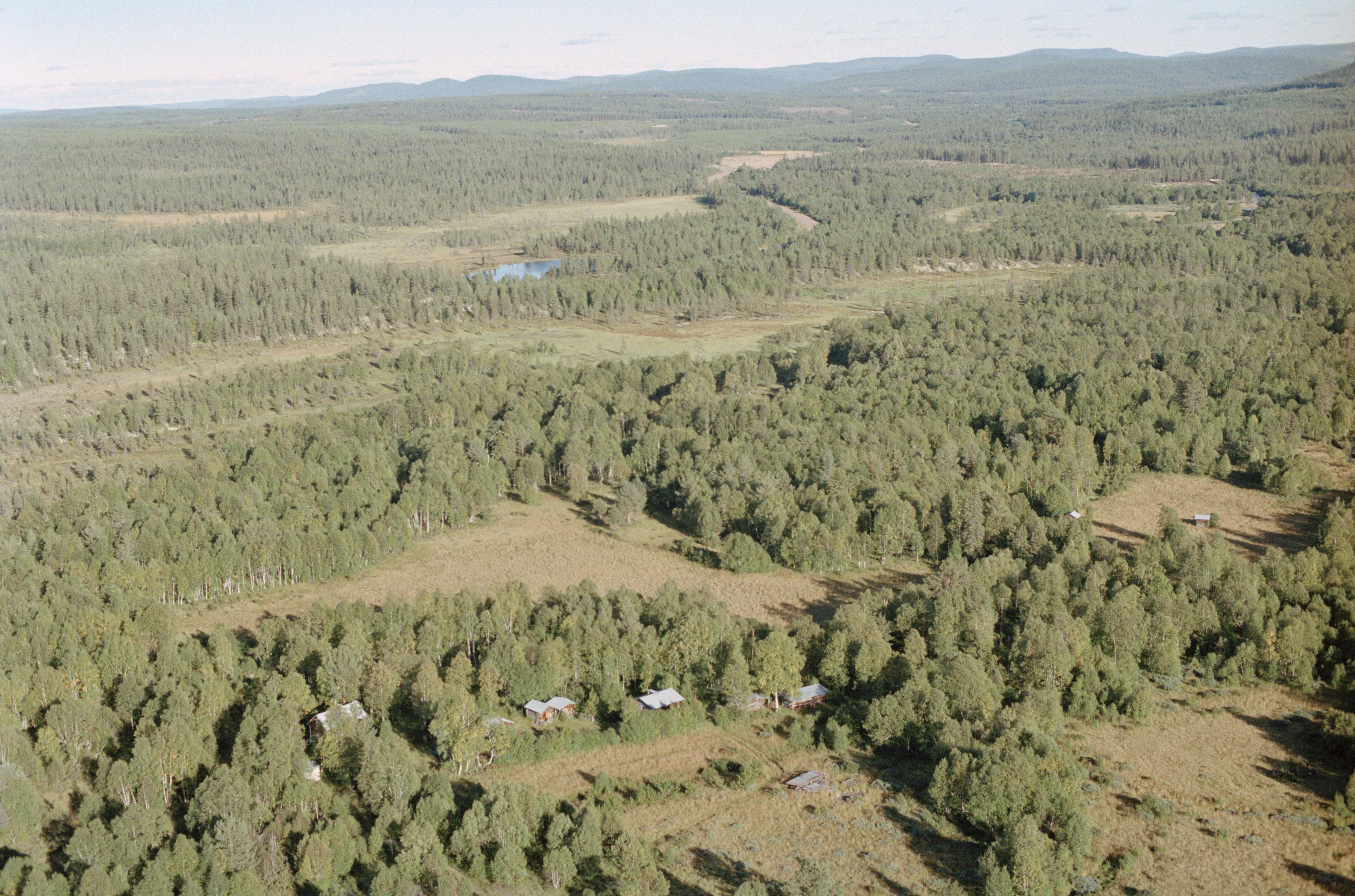 Jan Norrman, Lillhärdal 221:1