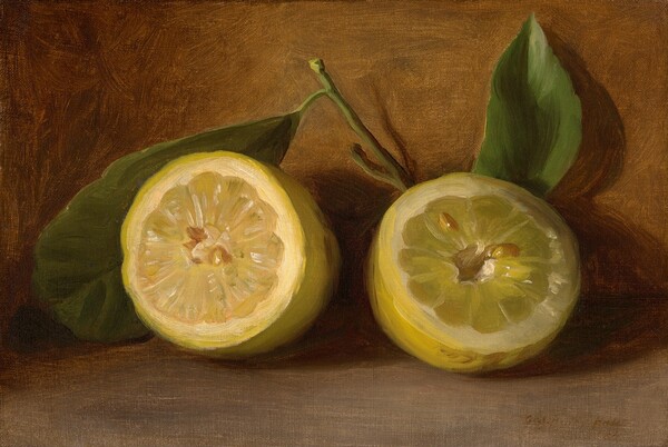 George Henry Hall, Lemons