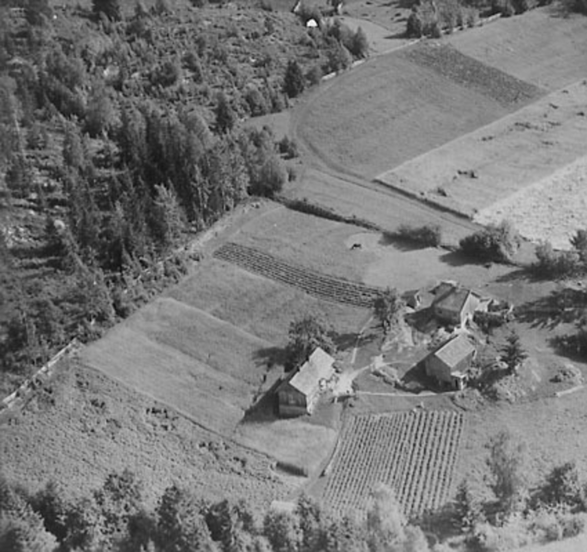 Widerøes Flyveselskap A/S, FLYFOTO KLAFSTADENGEN, ÅSVANG