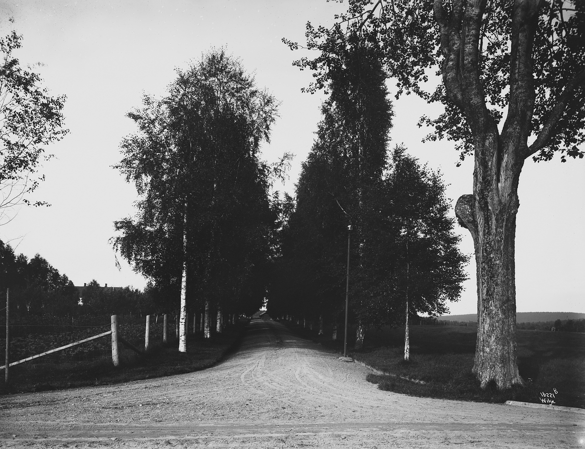 Anders Beer Wilse, Prot: Gjøsegaarden