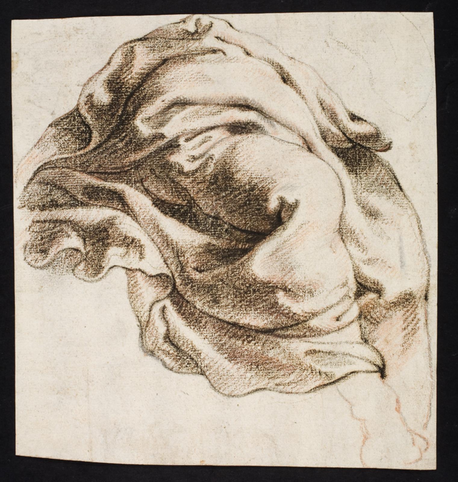 Peter Paul Rubens, Draperistudie