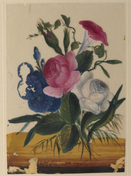 Unknown, One of eighteen drawings of flowers.