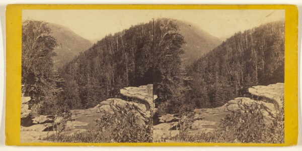 Edward and Henry T. Anthony & Co., The Glens of the Catskills. View from the top of Haines Fall. South Mountain in the distance.